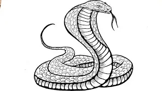 How To Draw A Snake | Cobra Snake Drawing Easy | Animal Drawing Step by Step