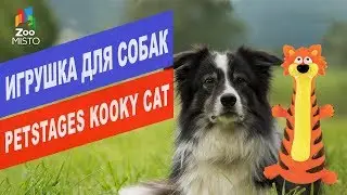 Игрушка для собак Crooky Cat от Petstages | Crooky Cat review