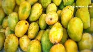 Historia de Inti Cacao