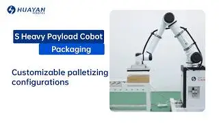 Han's Robot Application - Customizable palletizing configurations