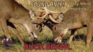 Bucks Fighting, Rattling Antlers SOUND ONLY! - Play While Hunting Buck Brawl