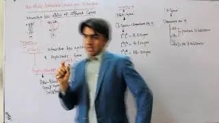 Non Allelic Interaction 1