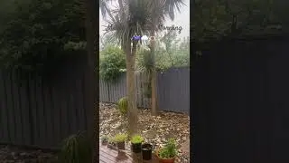 Melbourne weather!We have 10 degree temprature today after 28* yesterday!Big shift in weather!