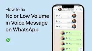 How To Fix WhatsApp Voice Message Problem on iPhone (Low Volume, No Sound)