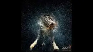 Chat with Ken Drake ZOO Studios