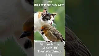 The Ultimate Birdwatching Setup for Your Cat &ndash; Safe, Stimulating, and So Much Fun!