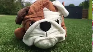 Dog Wick 3: Parabarkum