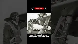 German Pilots Laughed At The P-47 Thunderbolt, Until Its Eight .50s Rained Lead on Them