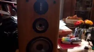 Infinity RS 4000 Speakers
