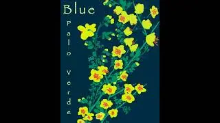 Blue Palo Verde