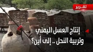 اليمن | مخاوف من تراجع إنتاج العسل اليمني وتربية النحل - تقرير: تامر عبد الوهاب