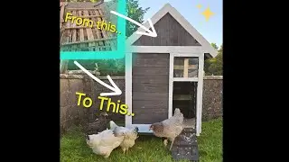 TURNING OLD PALLETS INTO A CHICKEN PALACE 🐔🥚 #chicken #chickencoop
