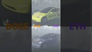 Tesla Crypto Wars Who Will Win?