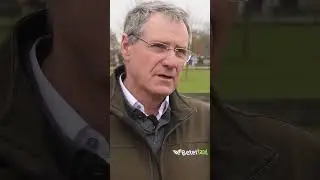 Bodem optimaliseren om verliezen van derogatie op te vangen