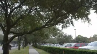 MFAH Unveils Architectural Plans For New Campus