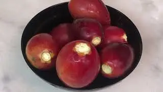 ANEKA JUICE SEGAR