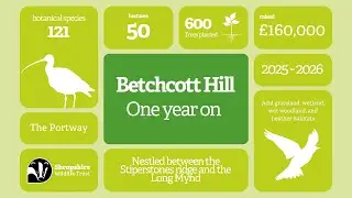 Betchcott Hill 1 year on...