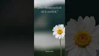 👉 &bdquo;Dein Kopf rennt? Hier ein schnelles Reset!&ldquo; 03/... #pause #ruhe #stressabbau