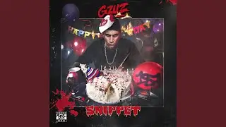 Gzuz (Snippet)
