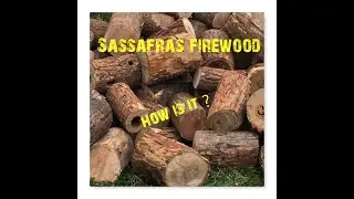 sassafras firewood how is it ?