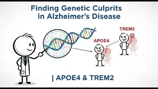 Finding Genetic Culprits in Alzheimer&rsquo;s Disease | APOE4 & TREM2 | Simplified Neuroscience Podcast