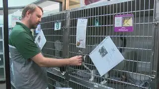 Positively Wisconsin: Helping the Humane Society on Giving Tuesday