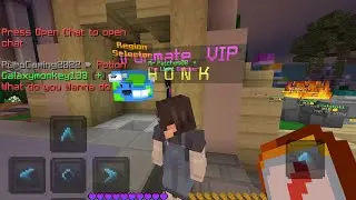 Rare VIP rank on the hive!