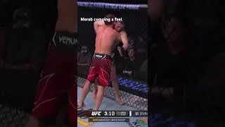 Yall think Merab will beat Sean again??#ufc #funny #316