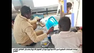 اكادمية بورتسودان للنظم والعلوم الادارية بمعسكر نزحي الفاشر بالعفاض@