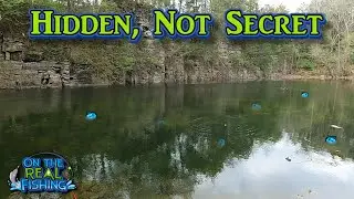 Bank Fishing the Hidden Lake at a Middle Tennessee State Park