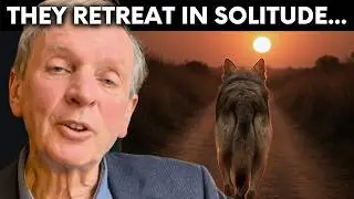 End of Life Experiences in Animals