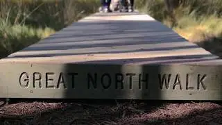 Mt Kuring-gai Walk