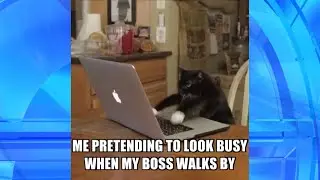 Pretending to Do Work in &lsquo;Thank GIF It&rsquo;s Friday&rsquo;