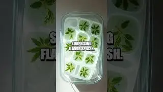 Herb Cube Remix Sparkles in Drinks
