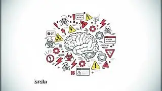 Why Do You Feel Poor Even Though You Make Enough? (Understanding the Poverty Brain )