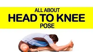 Head to Knee Pose (Janu Sirsasana): Yoga for Beginners | Triyogam Series