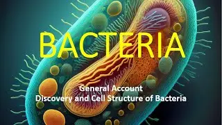 #Bacteria #Microbiology #CellBiology #ScienceEducation #DiscoveryOfBacteria #Prokaryotes