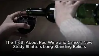 The Truth About Red Wine and Cancer: New Study Shatters Long-Standing Beliefs