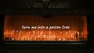 Grouper - Poison Tree Lyrcs (Slow& Reverb)