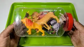 ASMR )) Plastic Animals Toys // Cow, Elephant, Tiger, Zebra, giraffe !! Farm animal toy