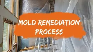 CPT SKULLY'S CRAFTSMAN SERVICES - MOLD REMEDIATION - COLORADO SPRINGS
