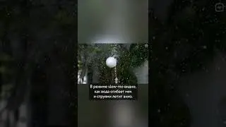 Гидродинамическая левитация #vertdider