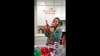 Elf on the Shelf Ideas
