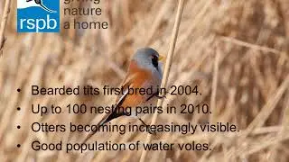 A look back at the changes at Lakenheath Fen since 1995