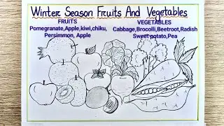 Winter season Fruits and vegetables drawing | Winter Vegetables drawing | Winter fruits drawing