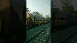 tracks lines par train running beautiful moments