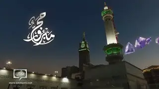 Amman TV // Eid Adha ID #② (2023)