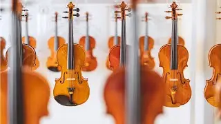 🎻15th Henryk Wieniawski International Violin Making Competition is fast approaching! #2025