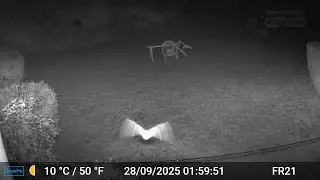 Bat Videos Only Edit GardePro A3 Trail Camera 8 of 12 FR21 Côtes d'Armor, Brittany, France