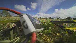 Kingkong Flyegg 130